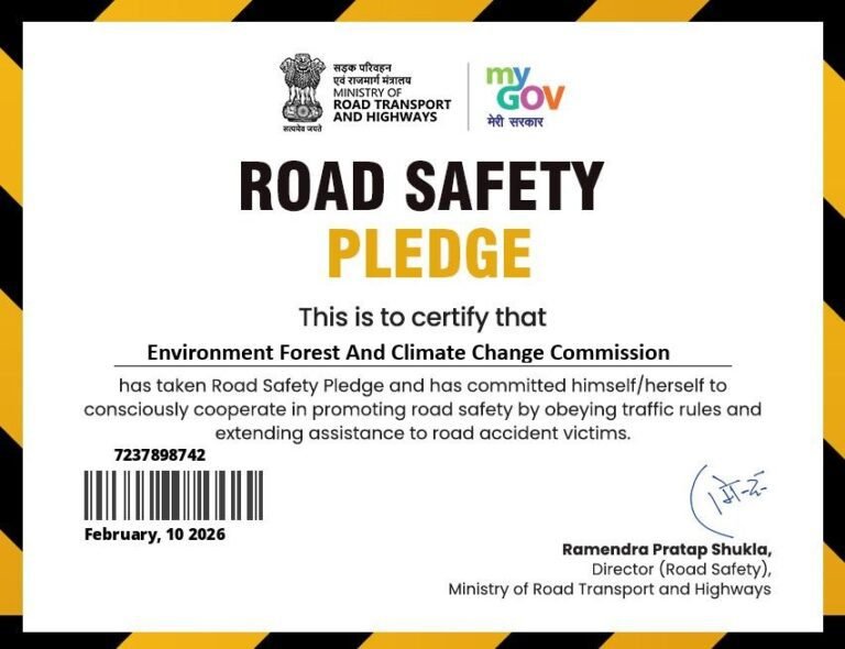 WhatsApp Image 2026-02-10 at 11.32.05 AM