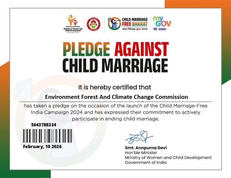 WhatsApp Image 2026-02-10 at 11.3406 AM