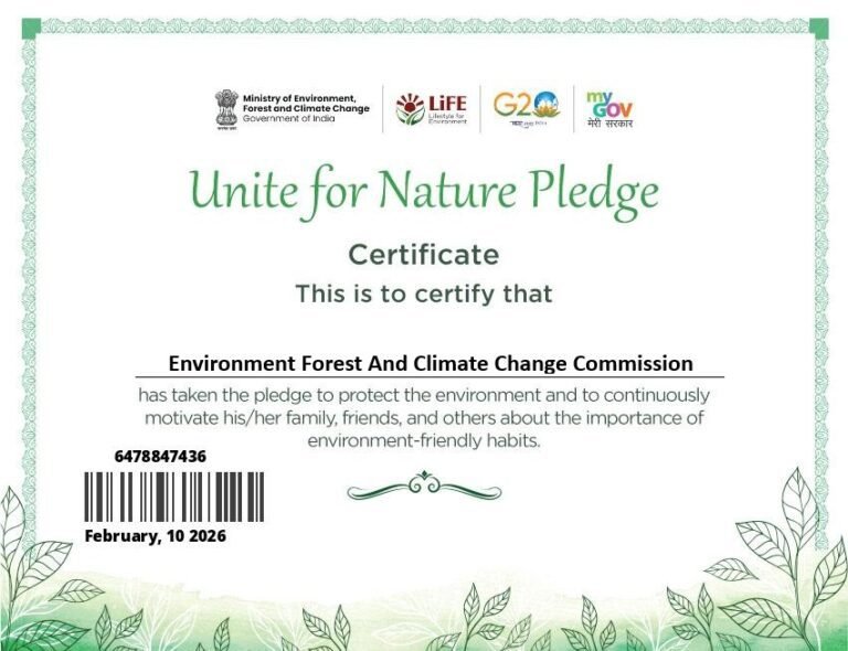 WhatsApp Image 2026-02-10 at 11.36.07 AM